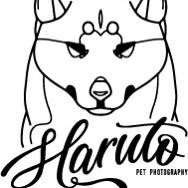 Mafalda Haruto Pet Photography