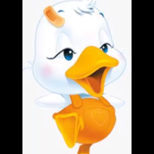 IceDuck