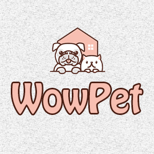wow pet