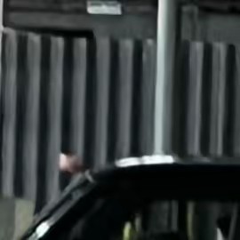 はにゃ⬛️🟧🦍