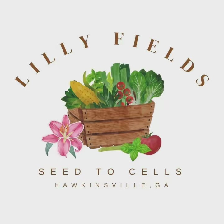 Lilly Fields