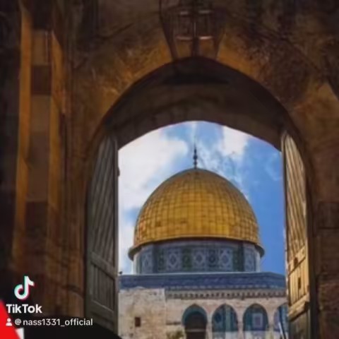 Palestine ﷽ 🇵🇸❤️🇩🇿