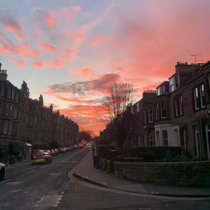 🌲🏴󠁧󠁢󠁳󠁣󠁴󠁿𝖈𝖔𝖘𝖒𝖔