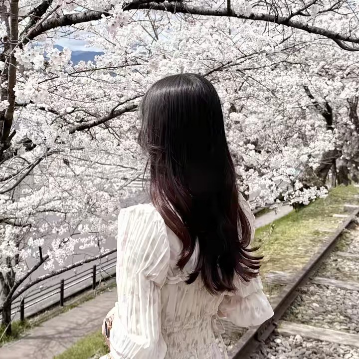 𝒎𝒂𝒑𝒍𝒆🤍