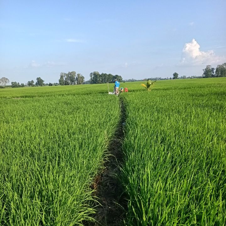 Nguyễn dương tiển 66