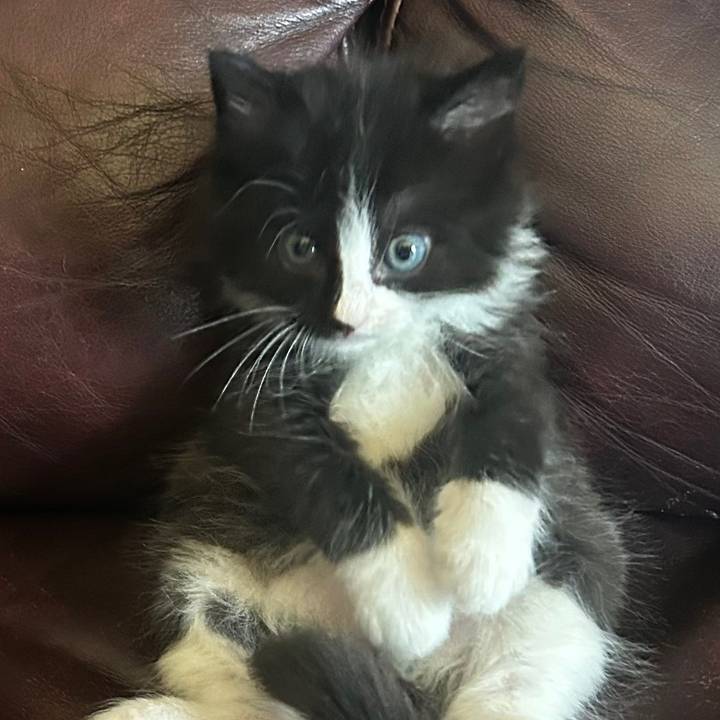 🦂🦂🦂Banm yon 4x4 pòz🦂🦂🦂…