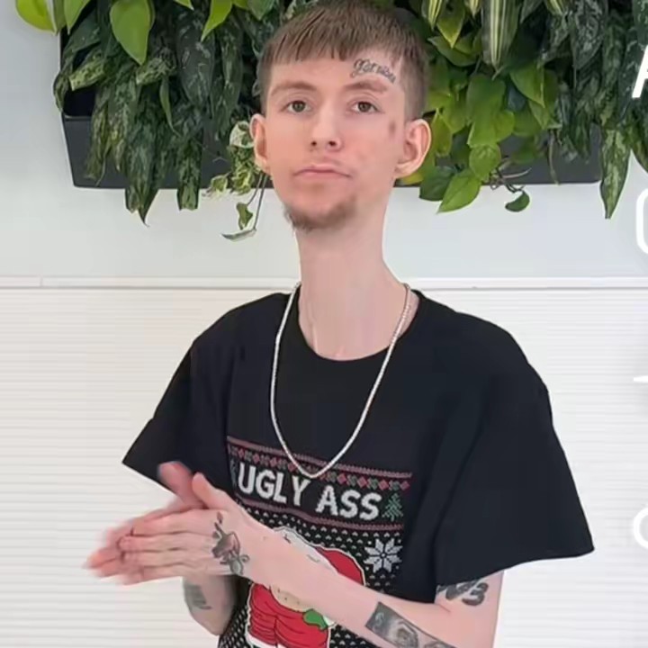 Daddy Long Neck