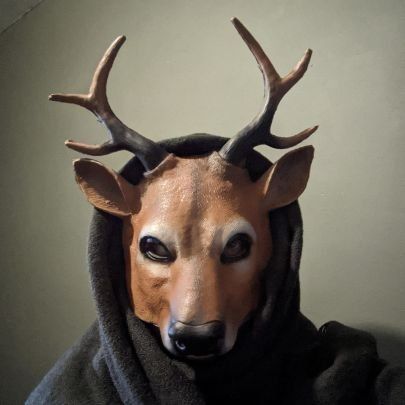 The Hypothesis (Hyp)