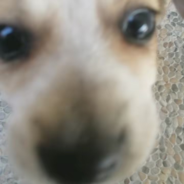 🍀🌳~ARBOLERA~🌳🌲