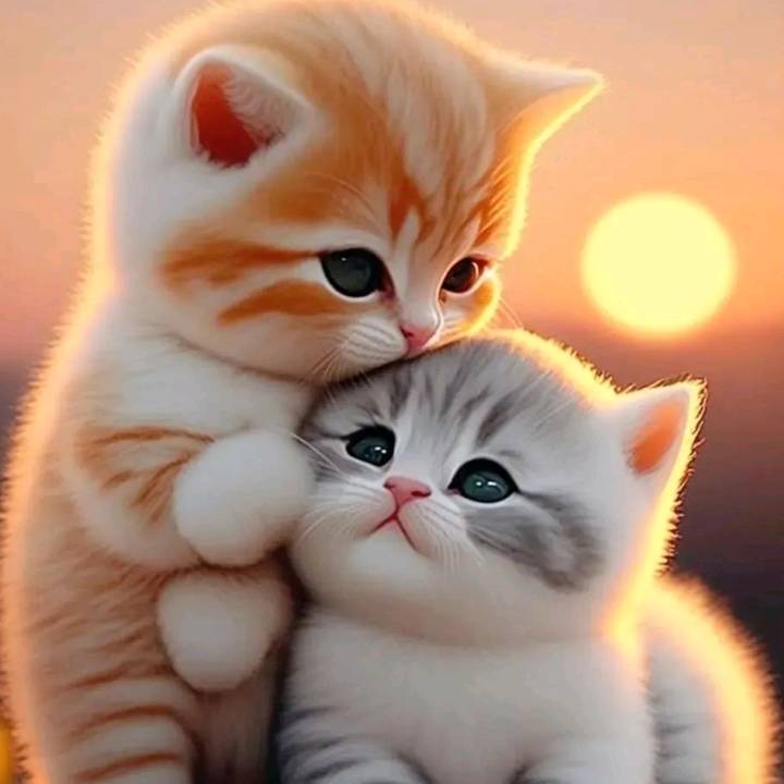 LEILA_VIRGINIA.OFICIAL