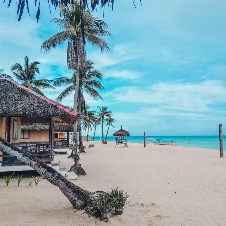 Miss Gastador 🛍️🛒