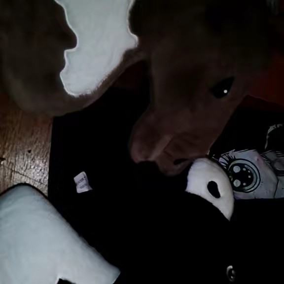 🐎🤎🖤hobby_horse girl🤎🖤🐎