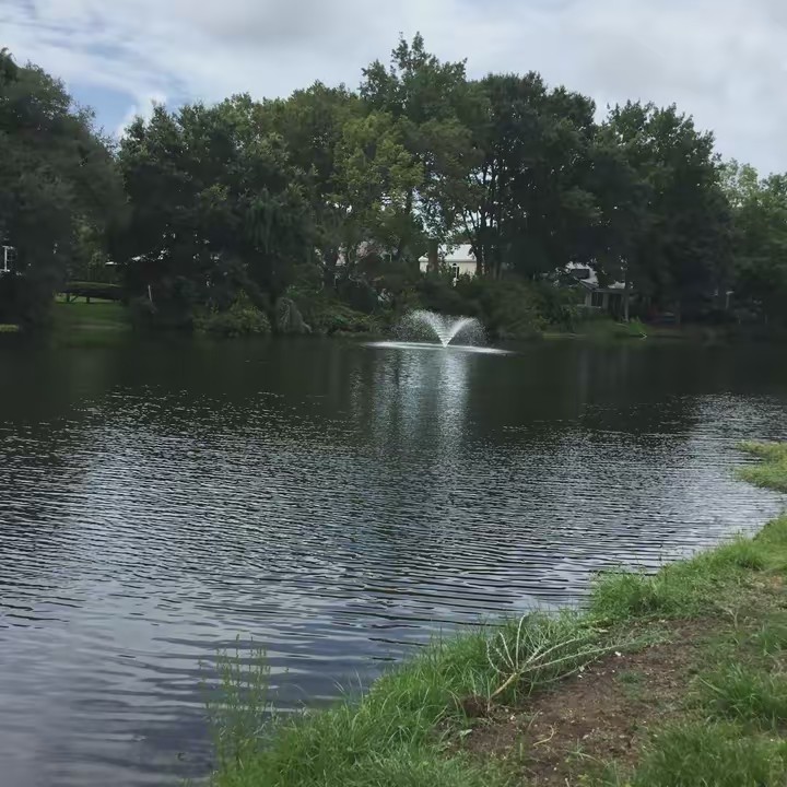 Miguel Mx sc...🇲🇽🇲🇽🇲🇽