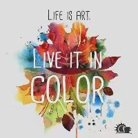 Colorful Life