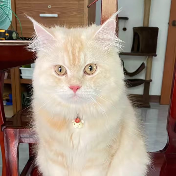 🙊Monkey 😝F 🐻Kuma