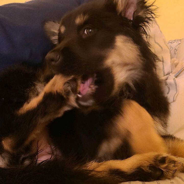 Khloe and Moxie 💖