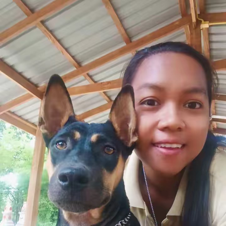 กุ๊กไก่ปั่นป่วน ปกป้องป่วนกว่า