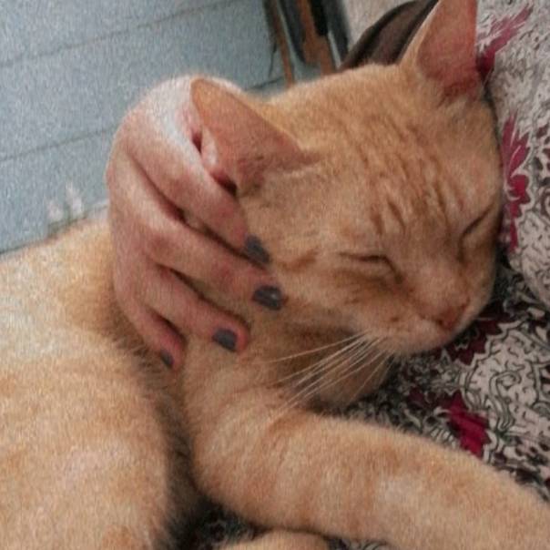 💎ҡαƭɦε૨เɳε💎