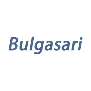 Bulgasari Socks