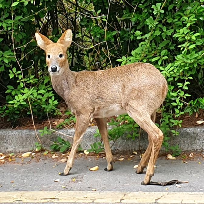 ♡동물사랑셔니♡Love animals Sean♡