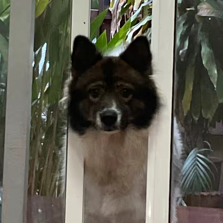 จ๋อง อี๊ด ลูกรัก