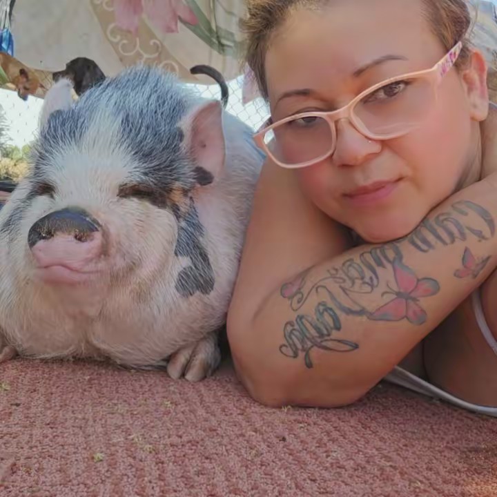 nuestras aventuras locas