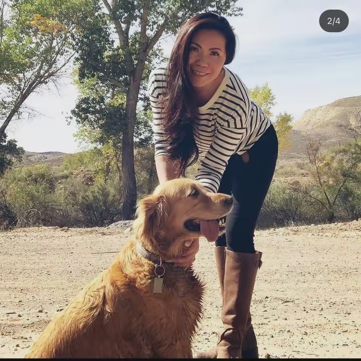 Wilsonpeakgoldenretrievers