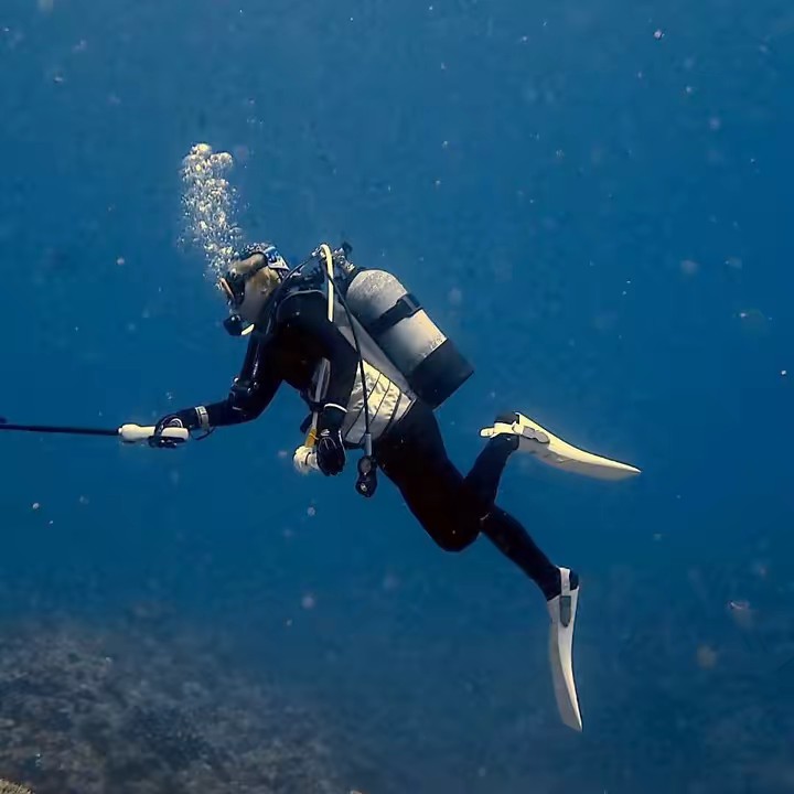 Shane PHLUR🐷📿🕊💐💞