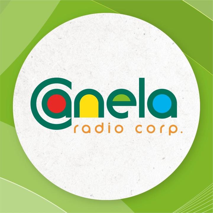 Canela Austro 107.3FM