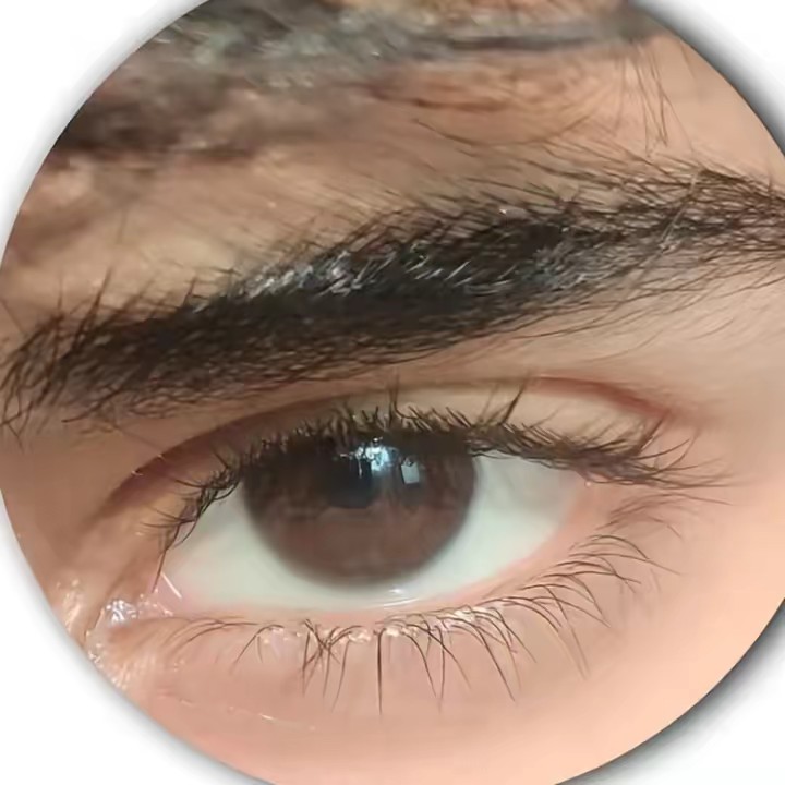  ᴊᴀʙʀᴀɴ 💸✨