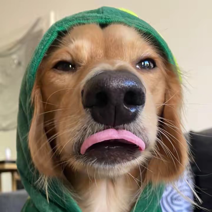 WINSTON_DA_WEEN