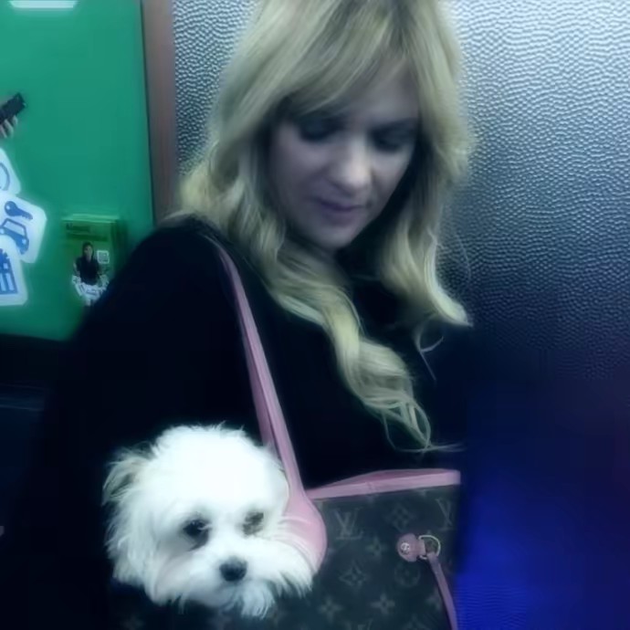 ⋆˚｡⋆୨✧୧˚ 𝑱𝒂𝒚 ˚୨✧୧⋆｡˚⋆