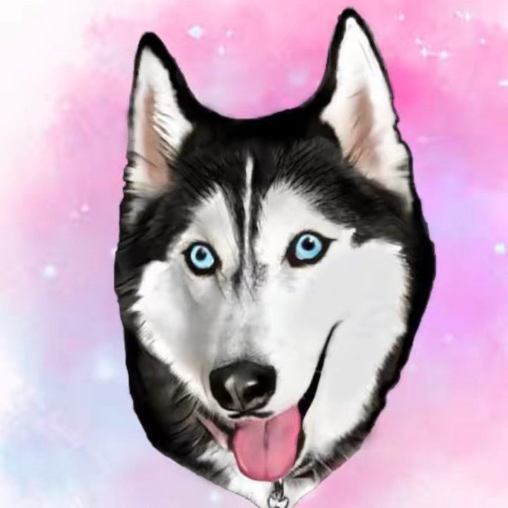 Meeka The Husky 🐺💕