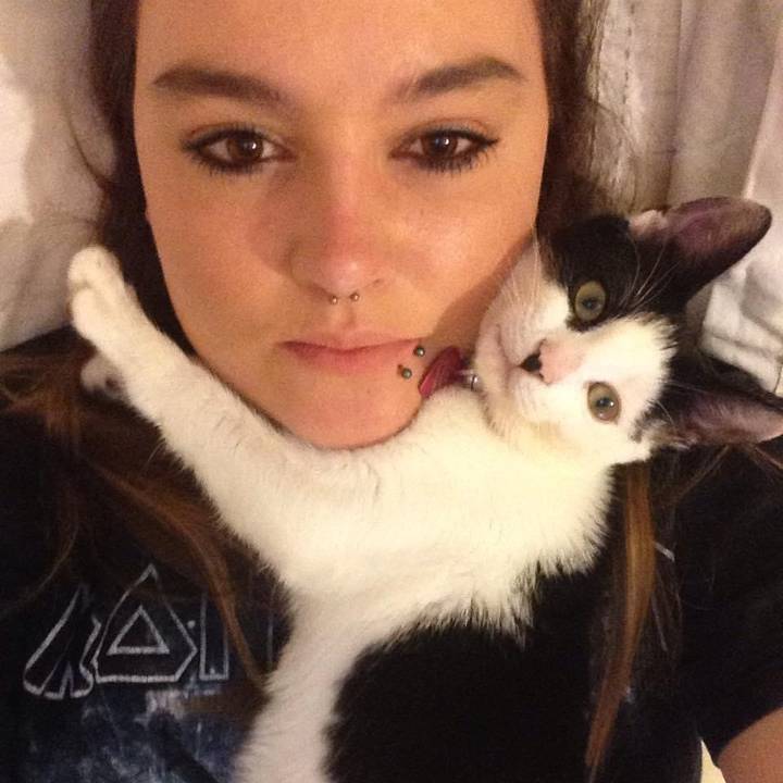 ❄️🧁 Frosted_Cupcake 🧁❄️