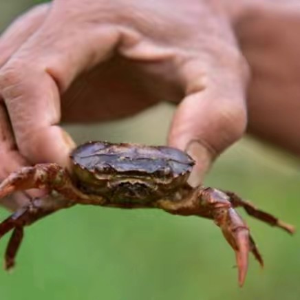 สมฤทัยฟาร์มปูนา