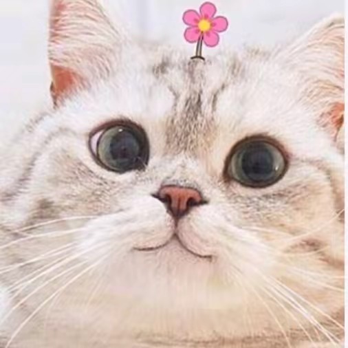 sợ con gái rồi 😔