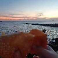 66 Tiểu Bảo Bảo 99