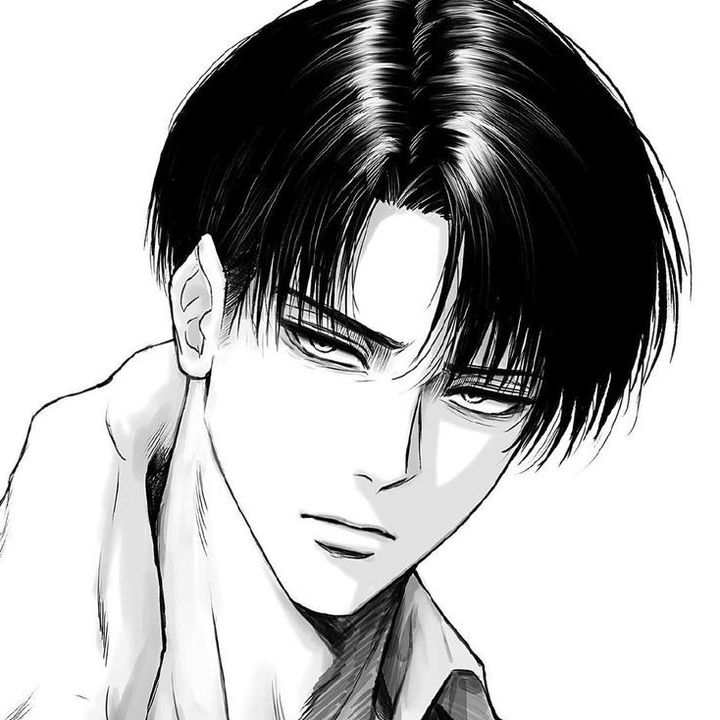 levi ackerman🪽