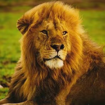 💧Ema-promo_💧✅