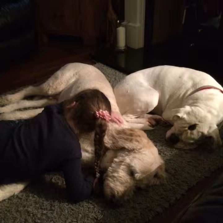 𝐋𝐢𝐥𝐲𝐲 ﾒ𝟶