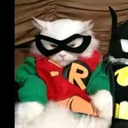 †★𝓴𝓲𝓴𝓲★†