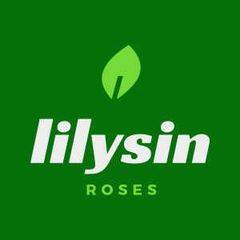 lilysin