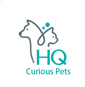 Curious Pets