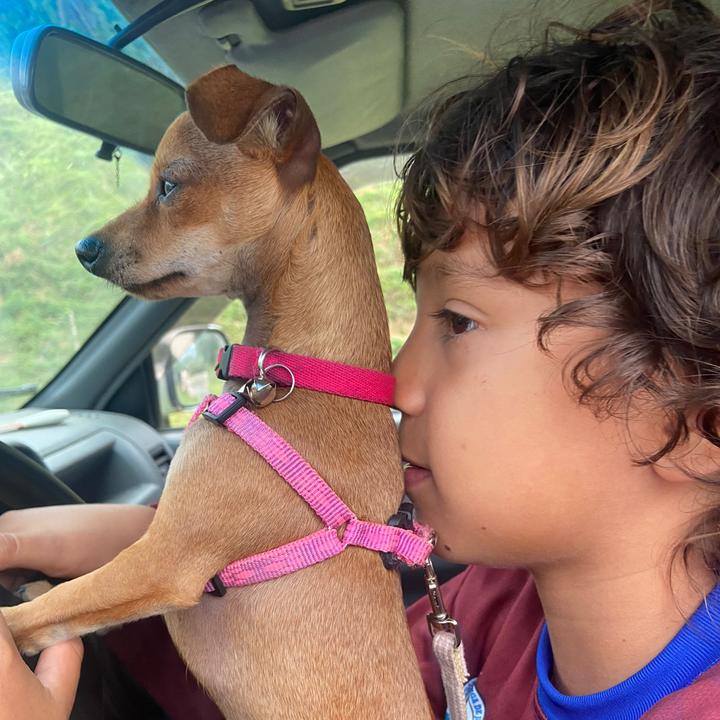 Charlotte Guzman🦜🐶😽