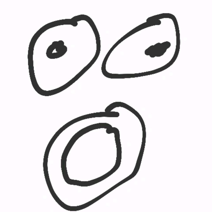 나의 노래 메모장