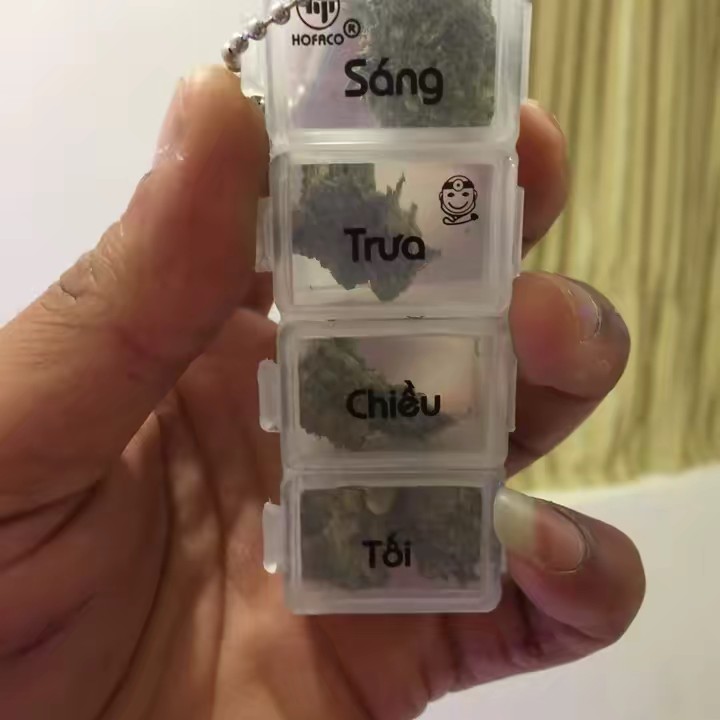 Trường Nắng Cực :))