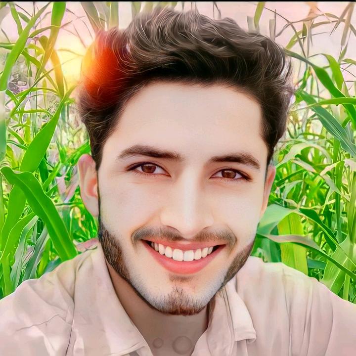 مہر سیف اللہ لالی 🥂