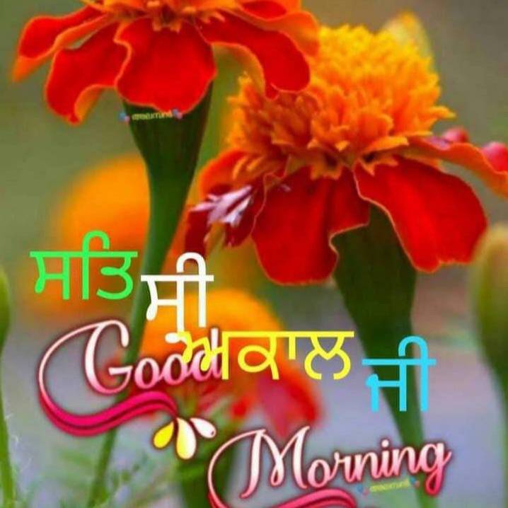 ਸਰਬੱਤ ਦਾ ਭੱਲਾ🙏🙏