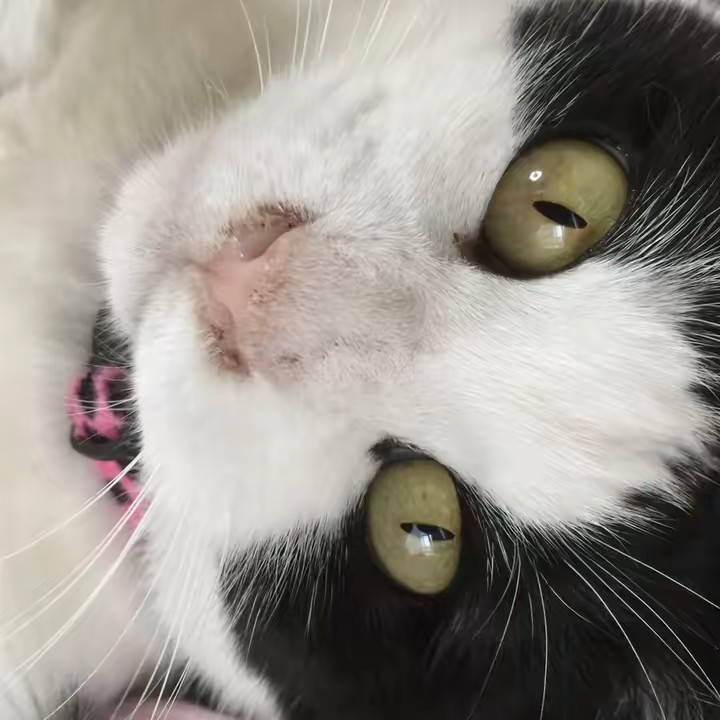 🌹✨りえちゃん✨🌹