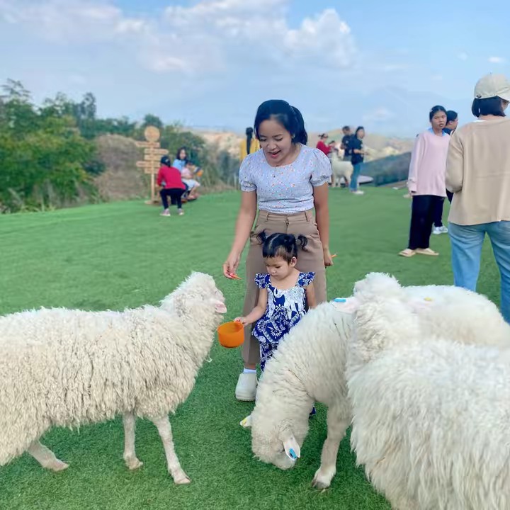 ช๊อปมารีวิว